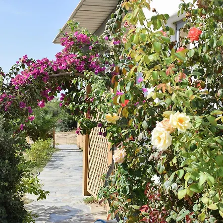 Infinity Apartment *