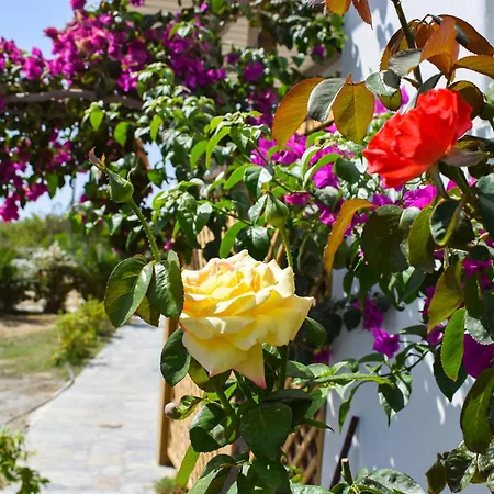 Апартаменты Infinity